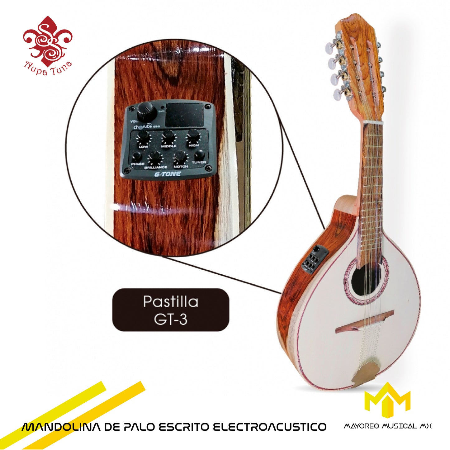 MANDOLINA ELECTROACUSTICA P/SP DE PALO ESCRITO VZ